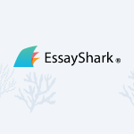 top-rated essay writing service